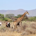 En selle pour la Namibie