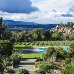 Floraisons dans le Lubéron