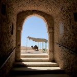 Djerba la douce, encore et toujours !