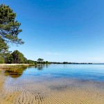 Le Printemps des Landes chatouille les sens