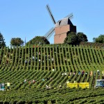 La Marne, département frappé du sceau du champagne ! 