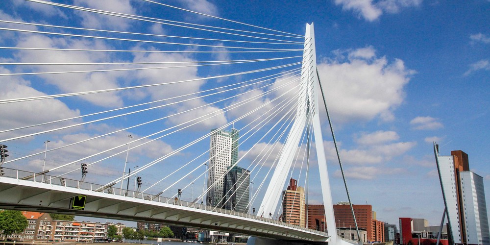 Rotterdam : une énergie communicative !
