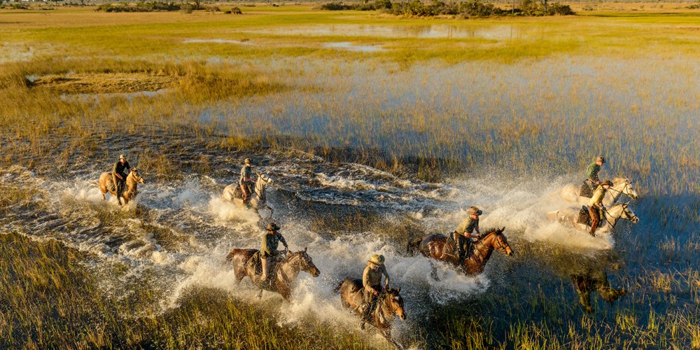 Un safari au Botswana