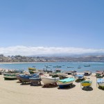 Gran Canaria, une île qui a du chien