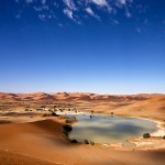 Safari d’automne en Namibie