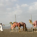  Oman, le joyau le mieux gardé d’Orient