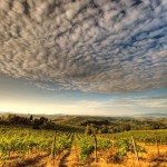 La Toscane et son vignoble