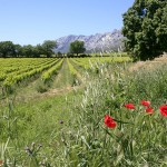 Le Pré Gourmand de la Provence