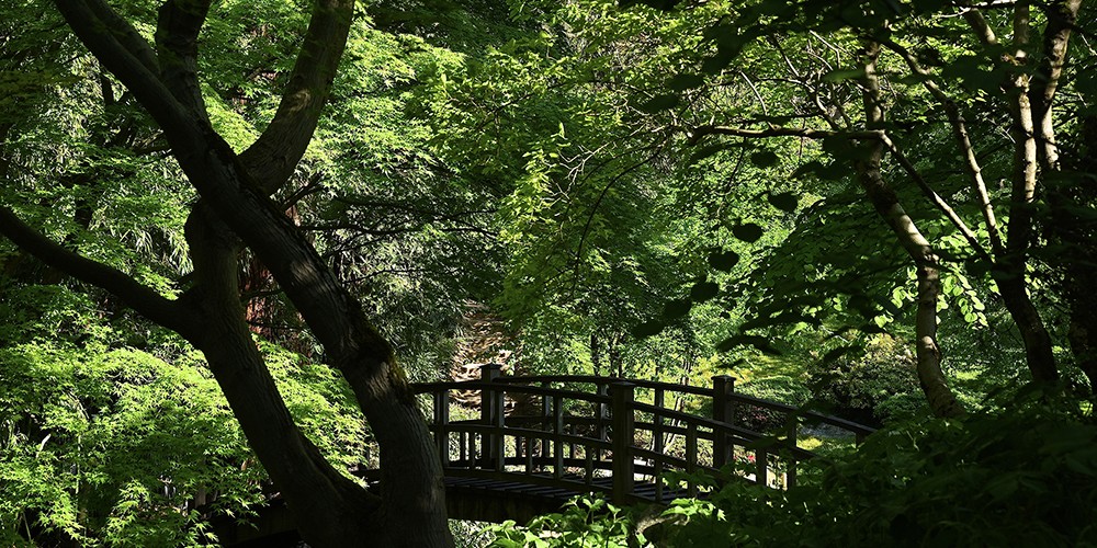 Albert Kahn en son jardin