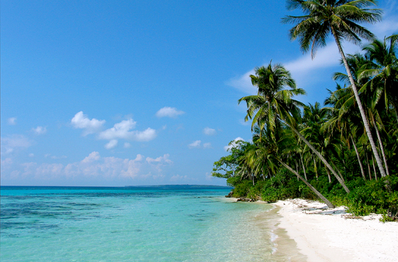 Les trésors de Java : Weva, votre magazine de tourisme, voyages et arts ...